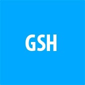 Gsh logo 2fach